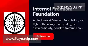 轻蜂加速器官网入口——安心探索网络，无忧畅游每一刻！