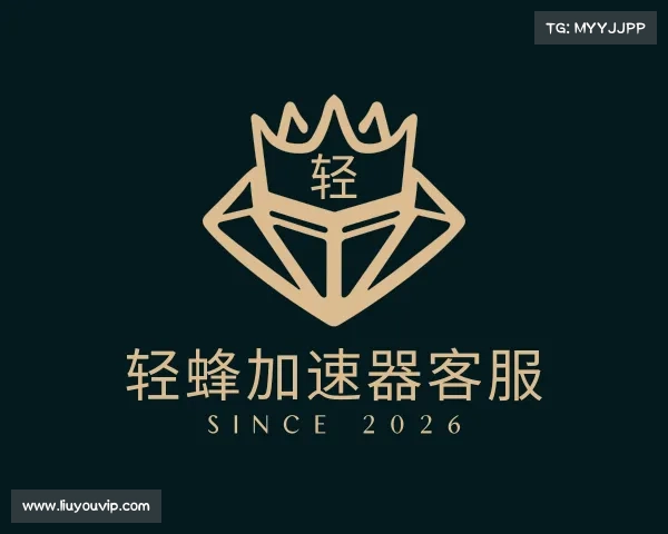 了解轻蜂加速器客服